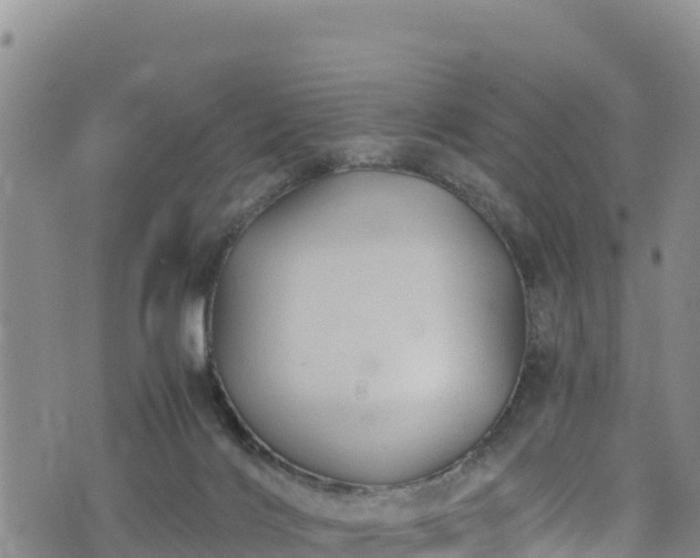 X0000076450028200610161323