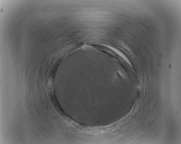 X0000076450029200610161323