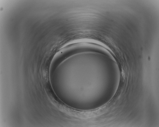 X0000076450031200610161323