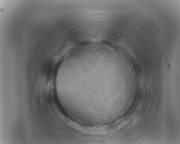 X0000076450032200610161323