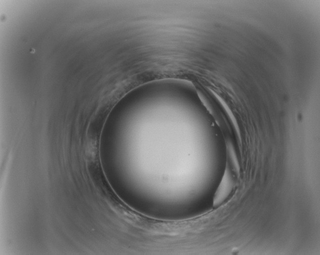 X0000076450033200610161323