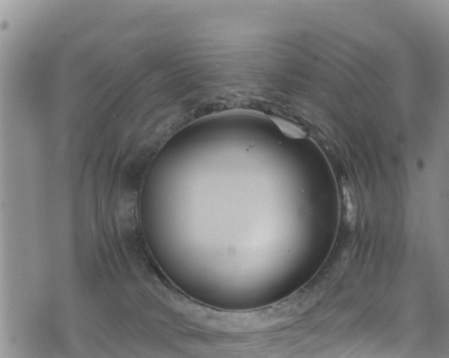 X0000076450034200610161323