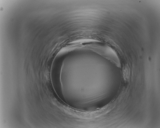 X0000076450035200610161323