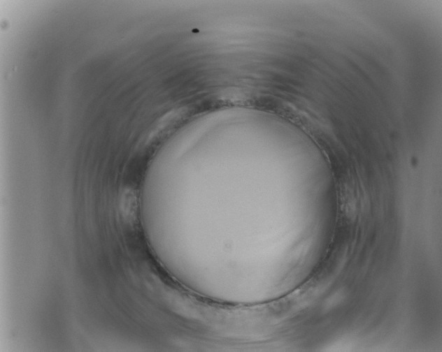 X0000076450036200610161323