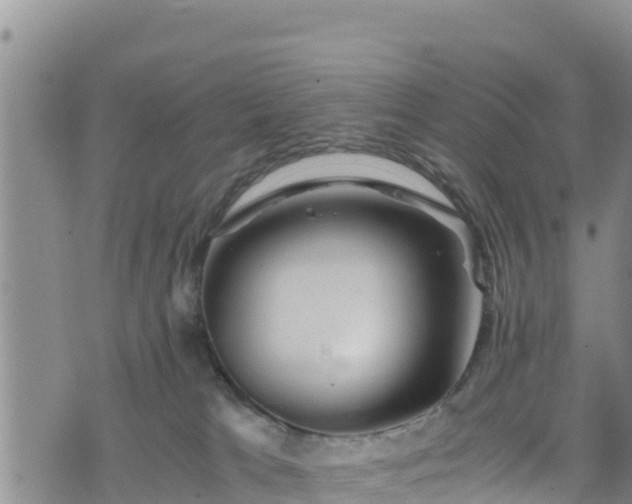 X0000076450037200610161323