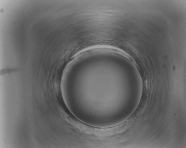 X0000076450039200610161323