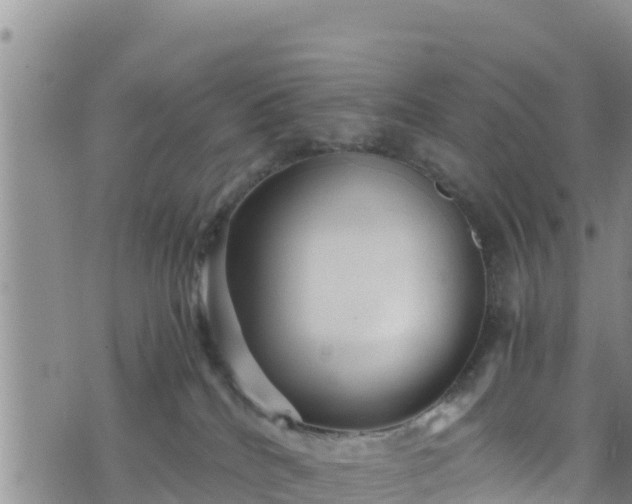 X0000076450040200610161323