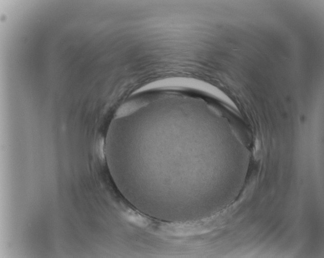 X0000076450041200610161323