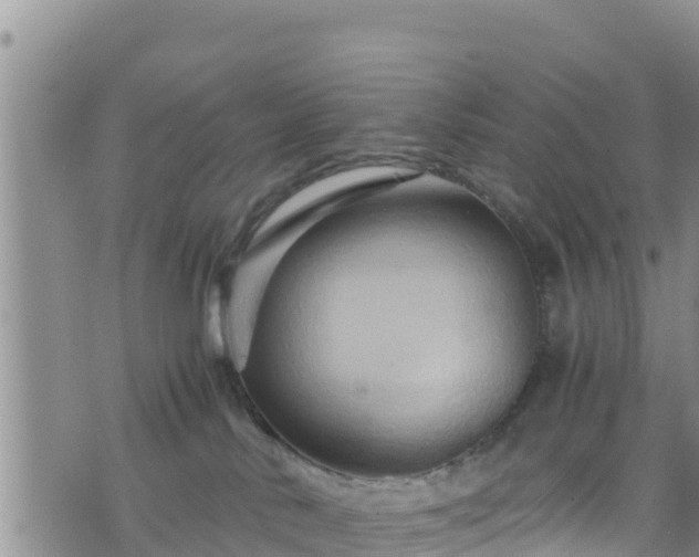 X0000076450042200610161323