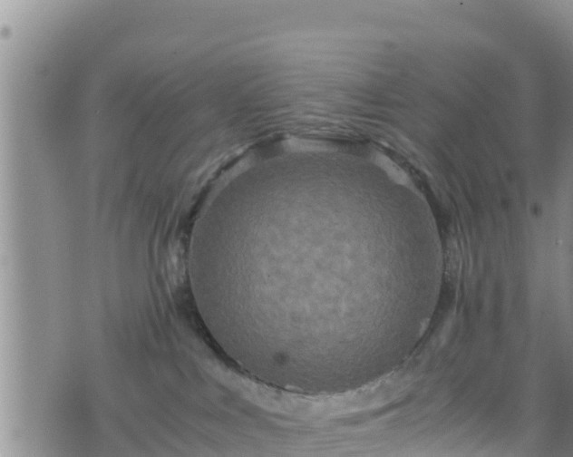 X0000076450043200610161323