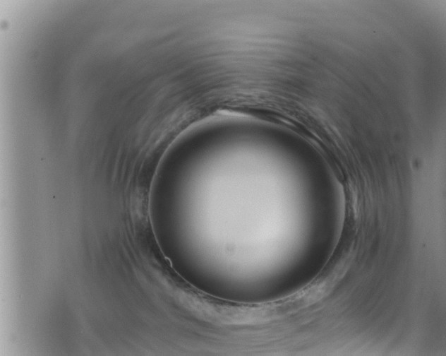 X0000076450044200610161322