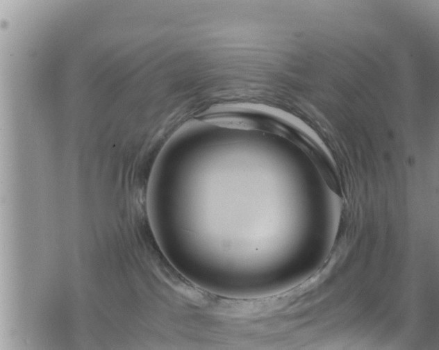 X0000076450045200610161322