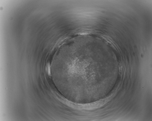 X0000076450046200610161322