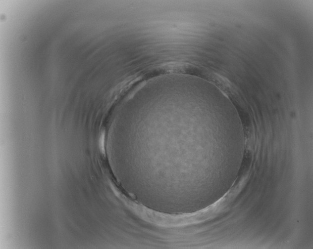 X0000076450047200610161322