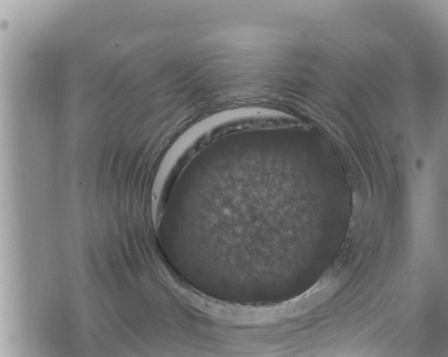 X0000076450048200610161322