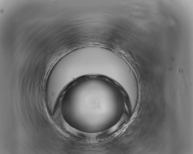 X0000076450049200610161322