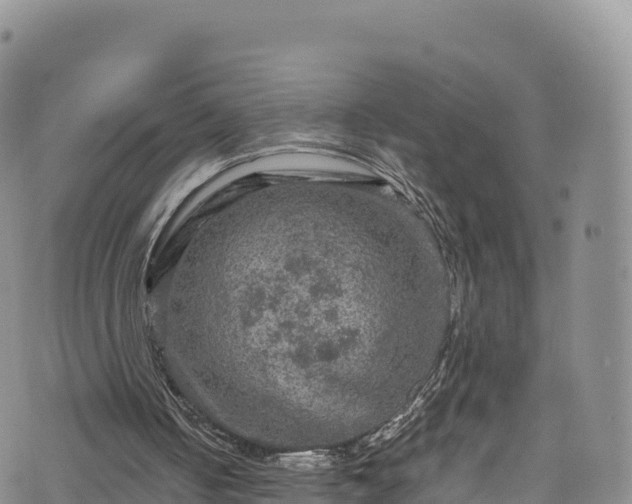 X0000076450050200610161322