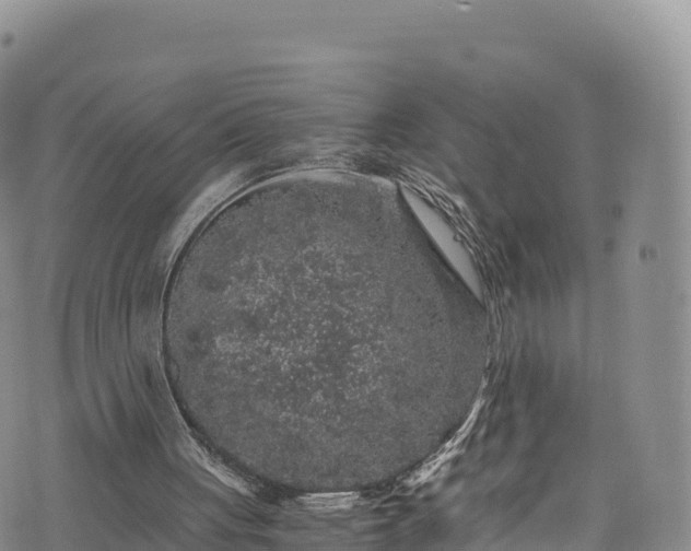 X0000076450051200610161322