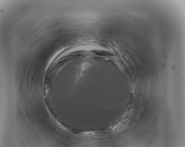 X0000076450052200610161322