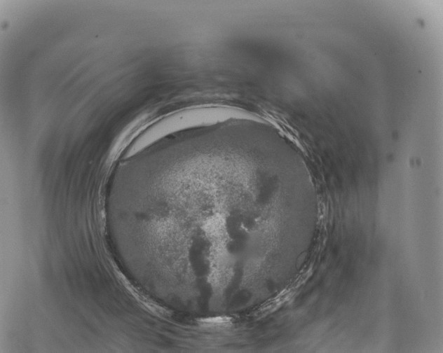 X0000076450053200610161322