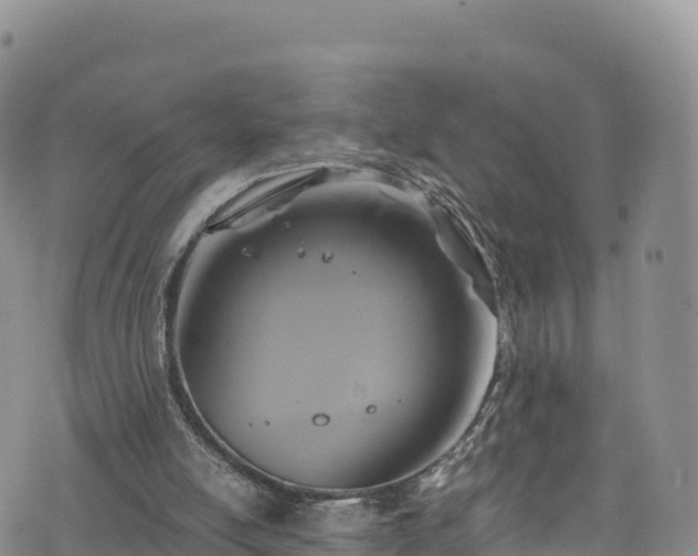 X0000076450054200610161322