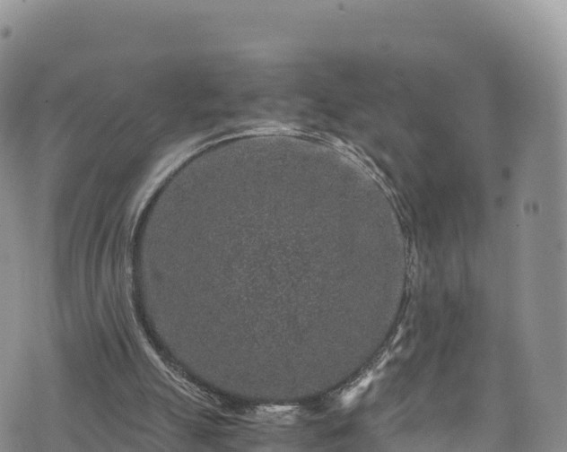 X0000076450055200610161322