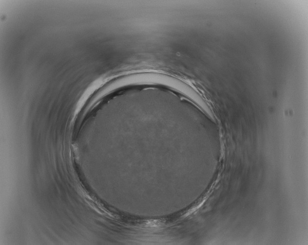 X0000076450056200610161322