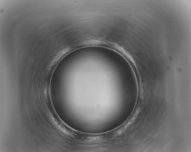 X0000076450057200610161322