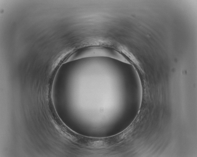 X0000076450058200610161322