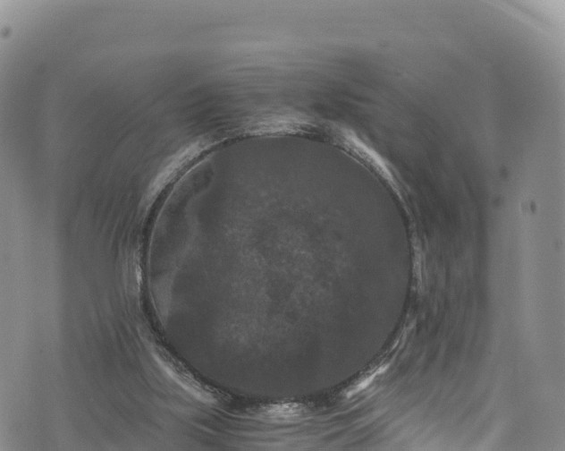 X0000076450059200610161322