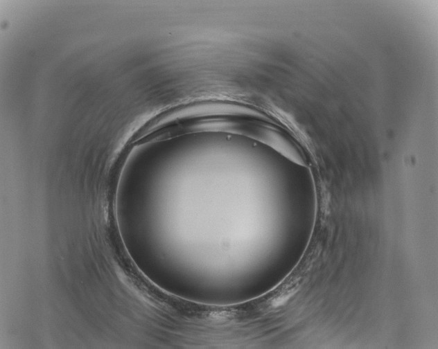 X0000076450060200610161322