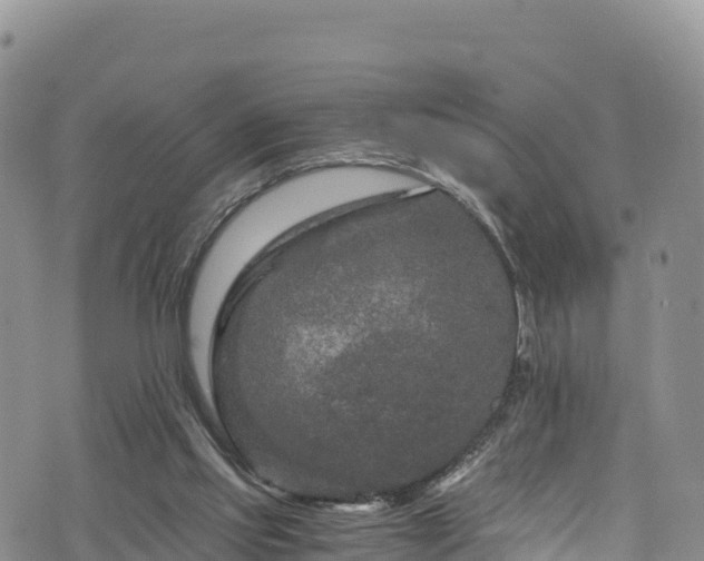 X0000076450061200610161322