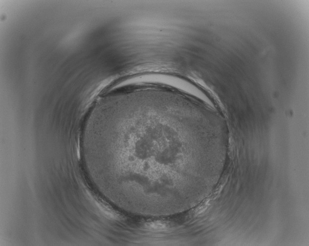 X0000076450062200610161322