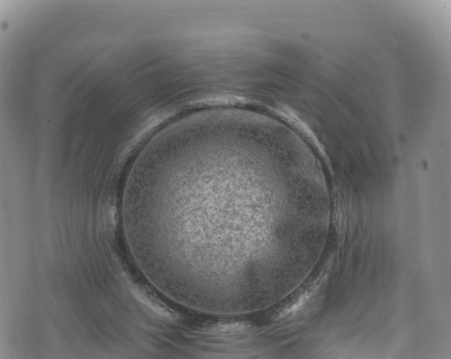 X0000076450063200610161322