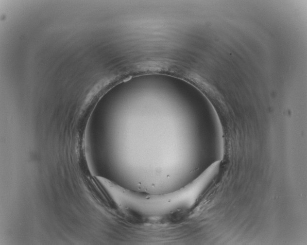 X0000076450064200610161322