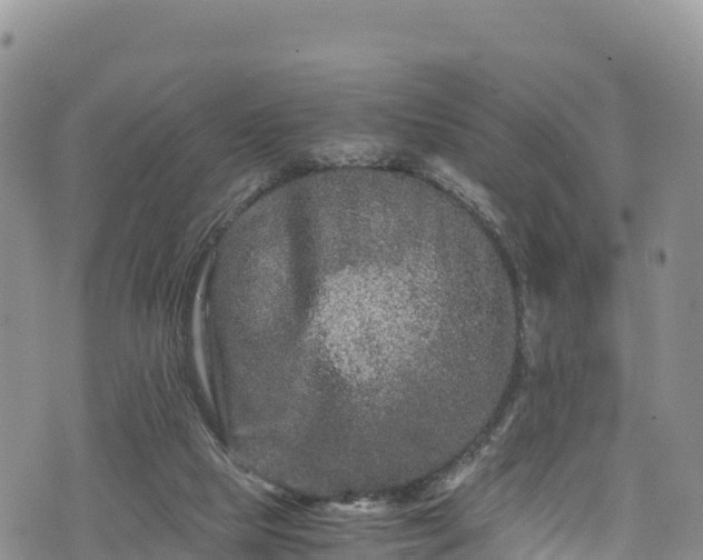 X0000076450065200610161322