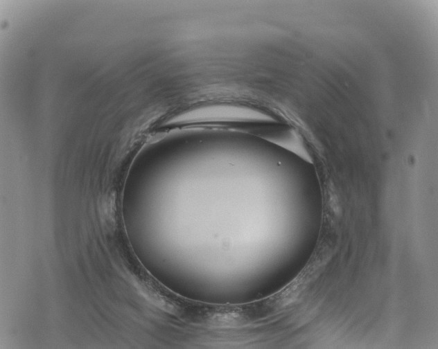 X0000076450066200610161322