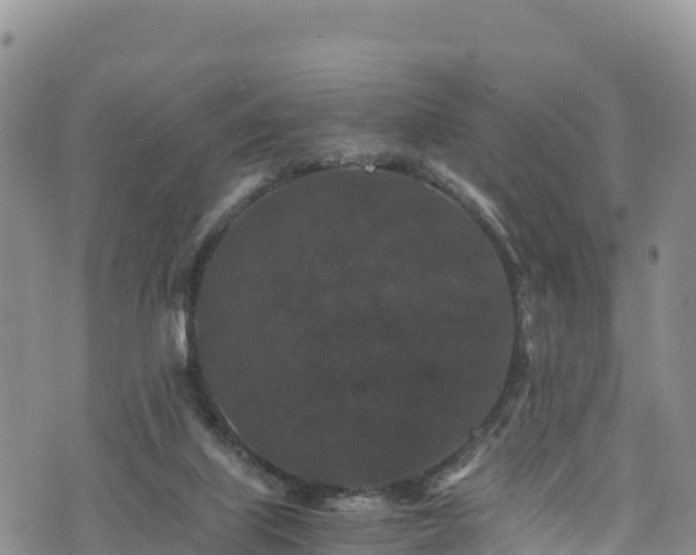 X0000076450067200610161322