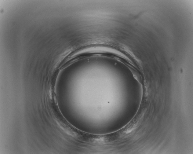 X0000076450068200610161322