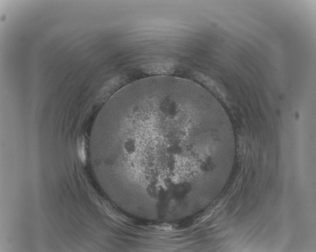 X0000076450069200610161322