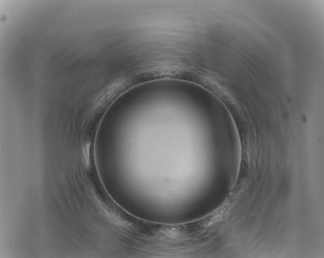 X0000076450070200610161322