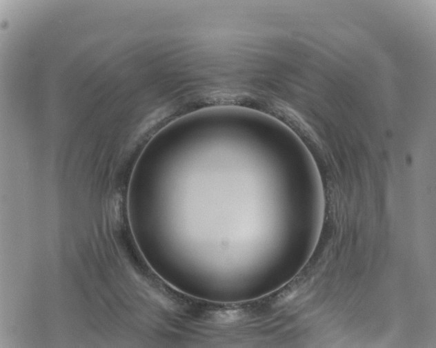 X0000076450071200610161322