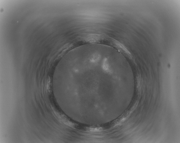 X0000076450073200610161322