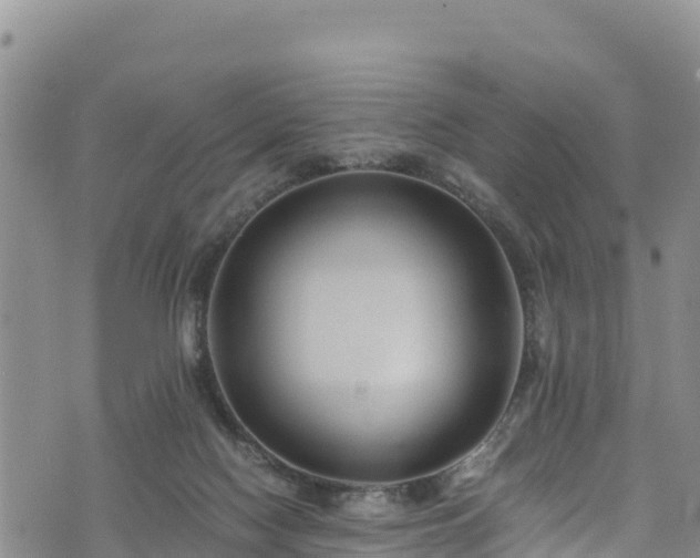 X0000076450074200610161322