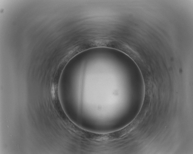 X0000076450075200610161322