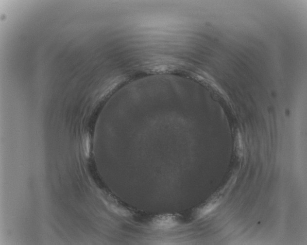 X0000076450076200610161322