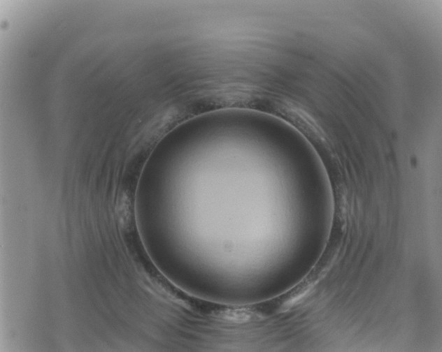 X0000076450077200610161322