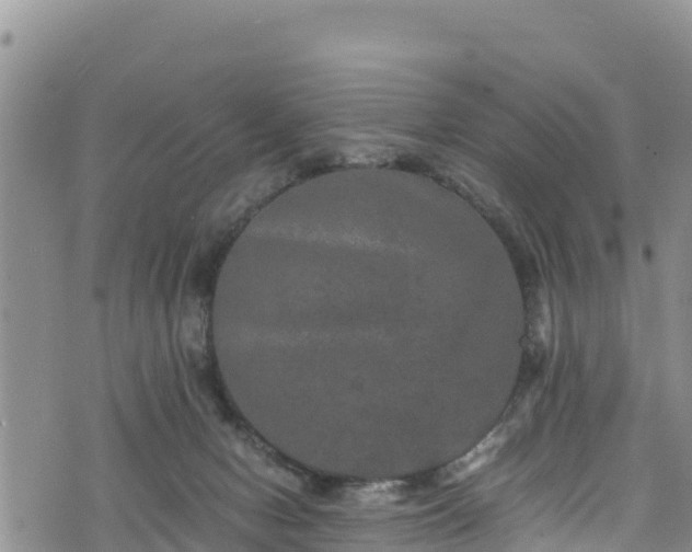 X0000076450078200610161322