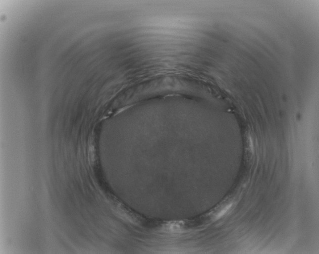 X0000076450080200610161322