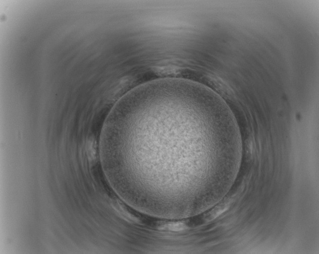 X0000076450081200610161322